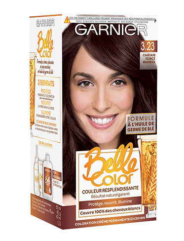 garniercolorationbellecolor323chatainfonceradieux